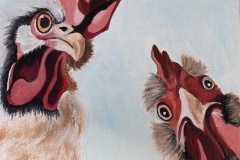 CANCAN-A-PLUMES