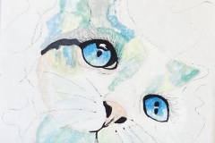 ENTRE-REVE-ET-SILENCE