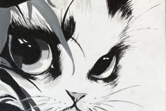 MYSTERE-FELIN